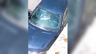 مقطع سكس الدكتور في جامعة الانبار – مشاهدة سكس عربي كامل