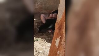 سكس سوري في العلن – مشاهدة سكس عربي كامل