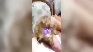 عراقي ينيجها بقوه وتصرخ – مشاهدة سكس عربي كامل