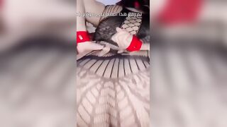 سكس مع عراقية ساخن مربوطة ايديها – مشاهدة سكس عربي كامل