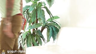 مشاهدة سكس خيانة